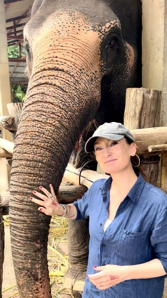 Mare Noi, An Elephant That Endured Cruelty For 41 Years, Is Finally Free Of Her Chains