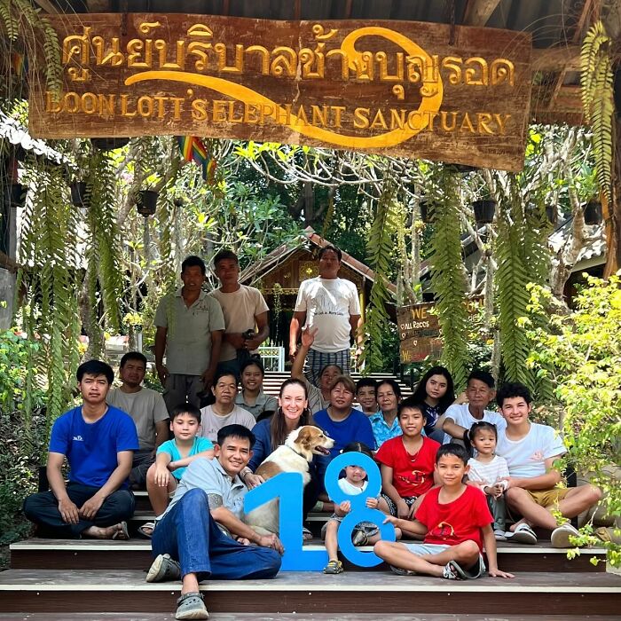 Mare Noi, An Elephant That Endured Cruelty For 41 Years, Is Finally Free Of Her Chains