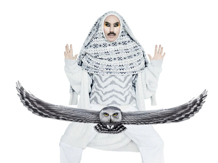 Snowy Owl (Bubo Scandiacus)