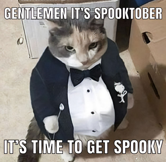 An October meme featuring a cat dressed in a tuxedo, holding a small spoon. The text reads, "GENTLEMEN IT'S SPOOKTOBER, IT'S TIME TO GET SPOOKY," playfully welcoming the Halloween season.