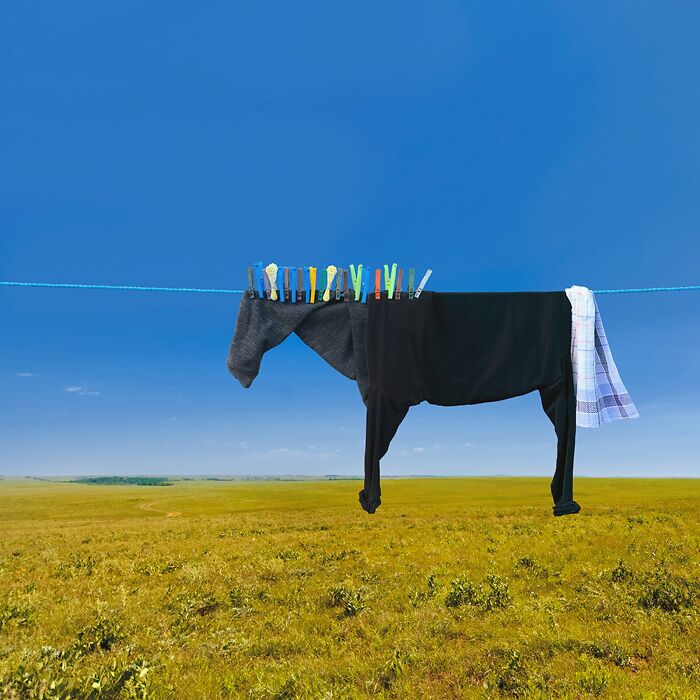 Playful animal created from laundry hanging on a clothesline, set against a picturesque landscape with clear blue sky.