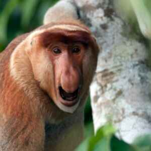 jwbaseball44gmail_com avatar