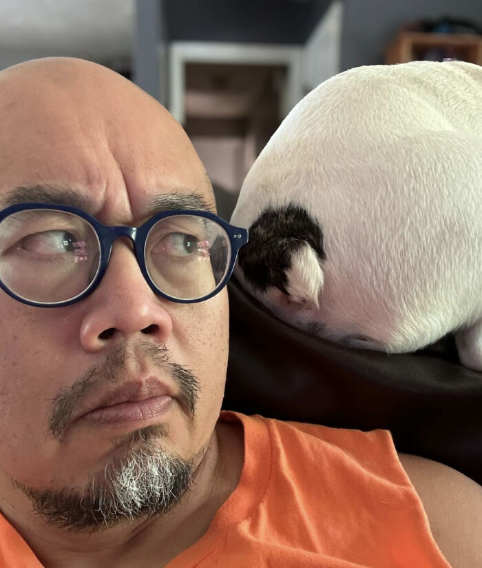 Rebellious Pup Who Failed 3 Adoption Attempts Finds His Perfect Match And Becomes Local Celebrity Rebellious Pup Who Failed 3 Adoption Attempts Finds His Perfect Match And Becomes Local Celebrity