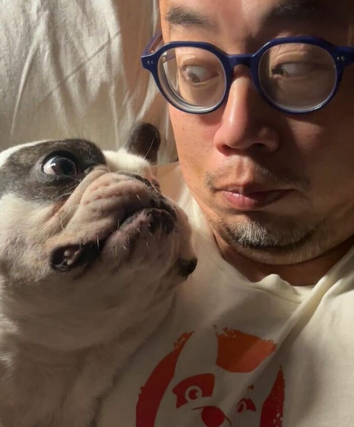 Rebellious Pup Who Failed 3 Adoption Attempts Finds His Perfect Match And Becomes Local Celebrity Rebellious Pup Who Failed 3 Adoption Attempts Finds His Perfect Match And Becomes Local Celebrity