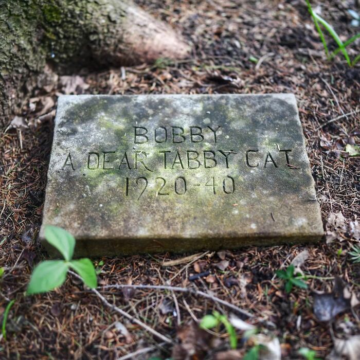 This Instagram Account Shows Us What Pet Cemeteries Tell Us About Human Emotions (23 Pics)