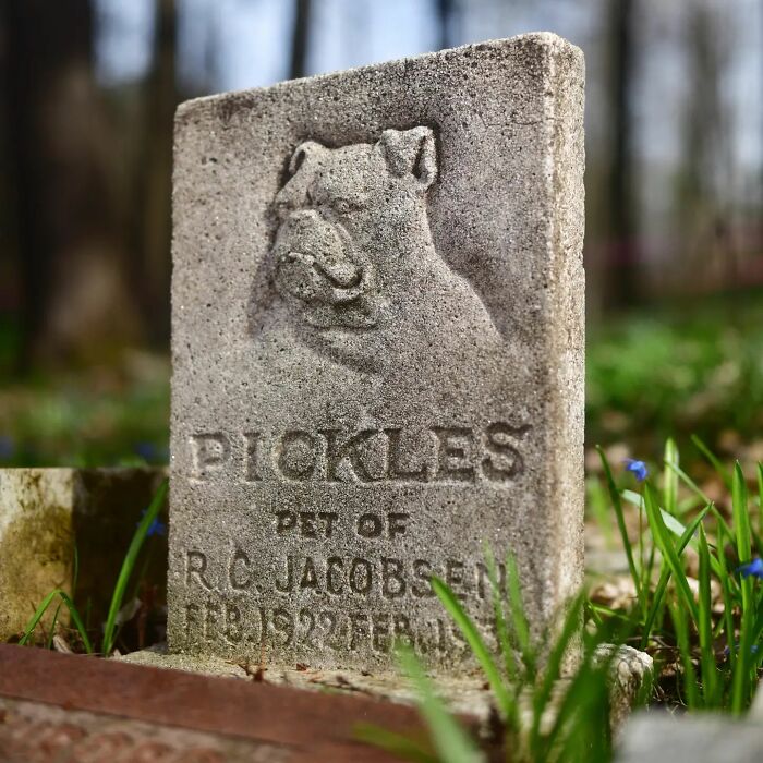 This Instagram Account Shows Us What Pet Cemeteries Tell Us About Human Emotions (23 Pics)