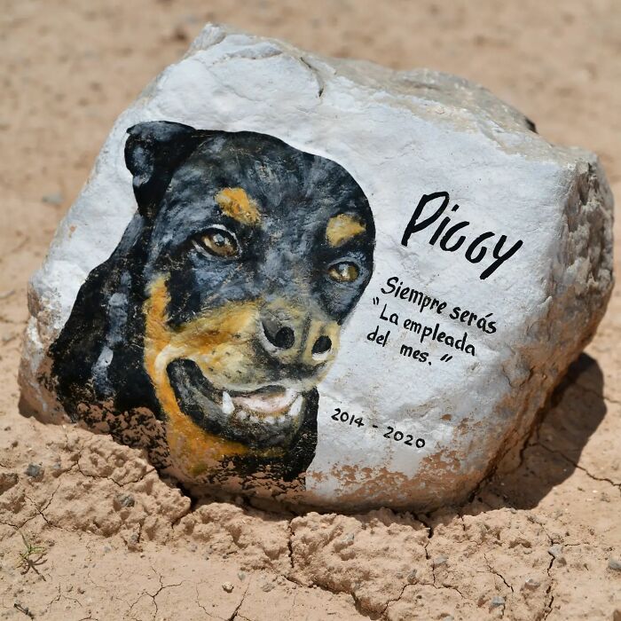 This Instagram Account Shows Us What Pet Cemeteries Tell Us About Human Emotions (23 Pics)