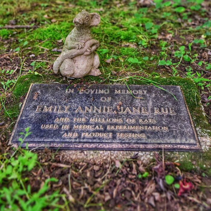 This Instagram Account Shows Us What Pet Cemeteries Tell Us About Human Emotions (23 Pics)