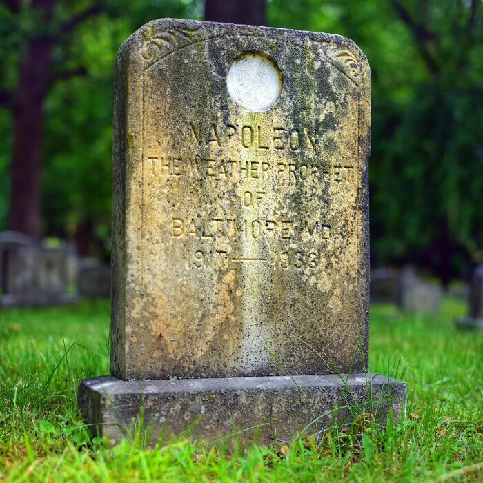 This Instagram Account Shows Us What Pet Cemeteries Tell Us About Human Emotions (23 Pics)