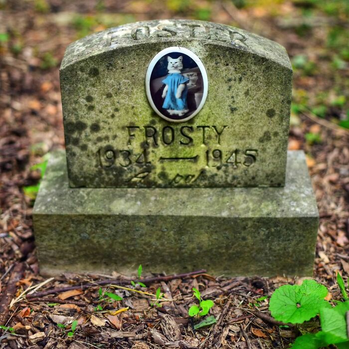 This Instagram Account Shows Us What Pet Cemeteries Tell Us About Human Emotions (23 Pics)