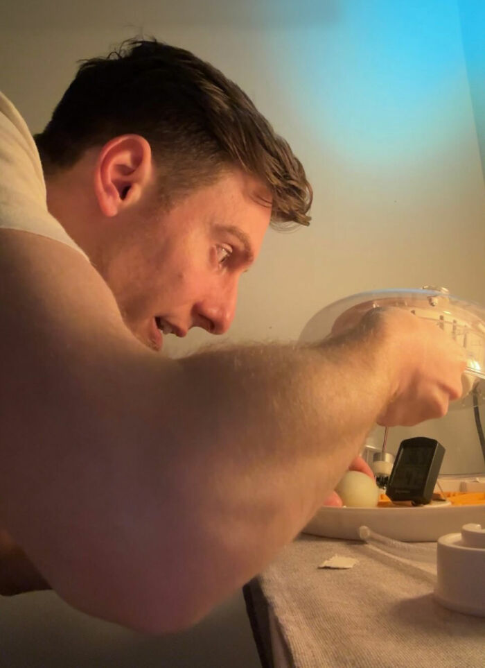 Man Found An Abandoned Egg And Decided To Take It Home, Hatching A New Friendship