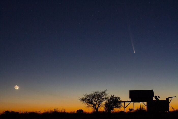 Stargazers Will Have The Chance To Spot Probably The Most Impressive Comet Of The Year