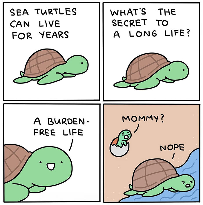 Cartoon turtle with text: "Sea turtles can live for years. Secret to long life? A burden-free life," rejecting baby turtle. Funny turtle meme.