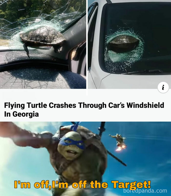 Turtle meme showing a turtle crashing through a car windshield and a cartoon turtle superhero captioned, "I'm off, I'm off the Target!"
