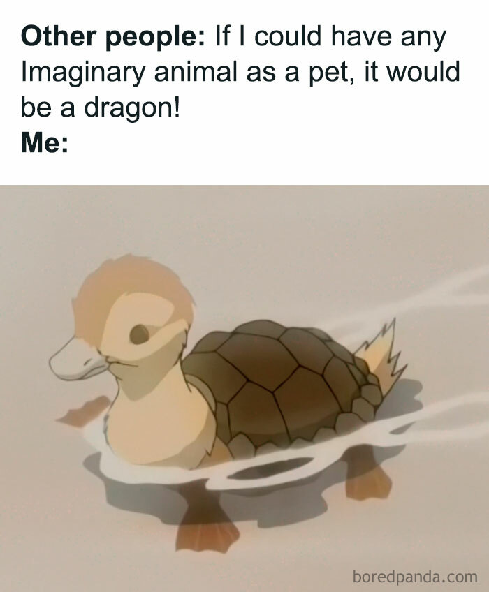 Cute turtle meme with a duck face, humorously captioned about imaginary pets.