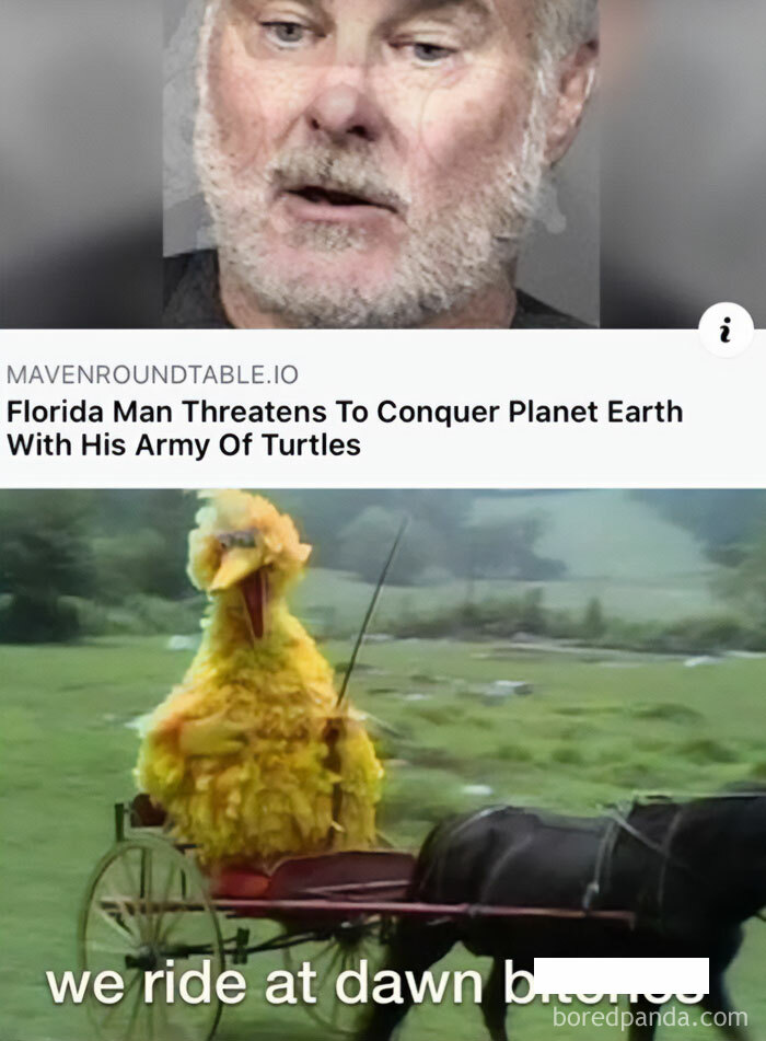 Florida man meme about conquering Earth with turtles, featuring Big Bird on a horse-drawn carriage with humorous caption.