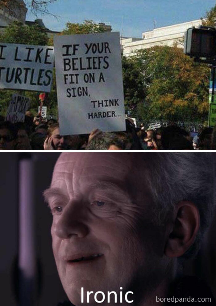 Turtle meme with a protest sign saying, "I like turtles," paired with a scene labeled "Ironic."