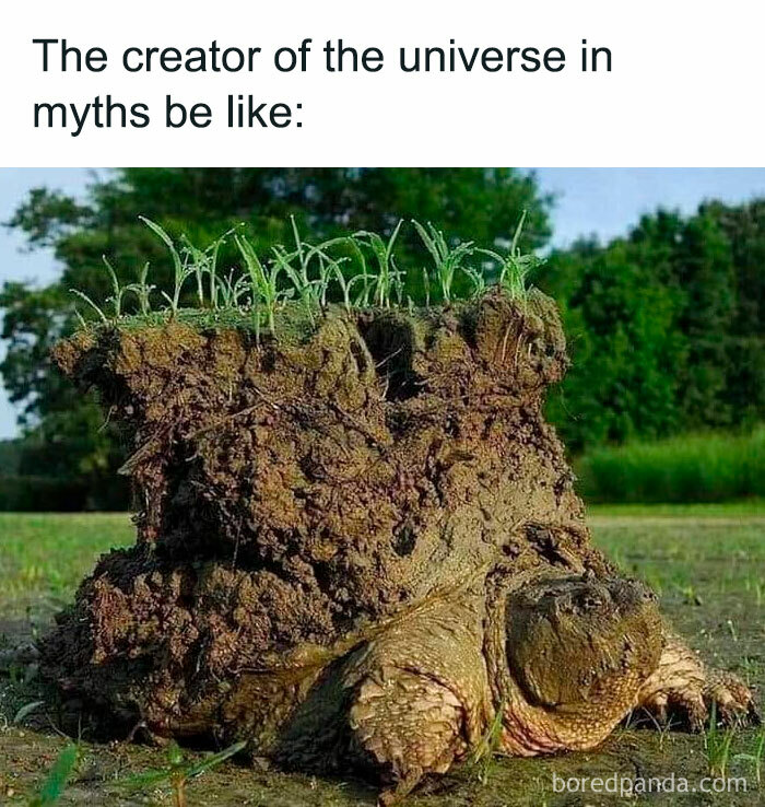 Turtle meme with a turtle covered in soil and grass, humorously portraying the creator of the universe in myths.