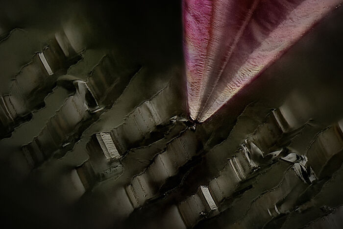 Microscopic image showing intricate details captured in the 2024 Nikon Small World photomicrography contest entry.