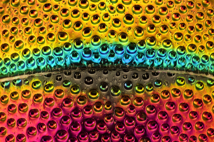Close-up microscopic image showcasing vibrant colors and water droplets from the 2024 Nikon Small World photomicrography contest.