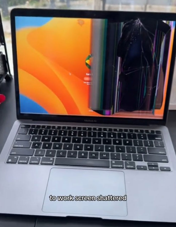 &ldquo;There&rsquo;s Obviously A Body&rdquo;: Woman Discovers Rug In Her Yard, Suspects It May Have Human Remains