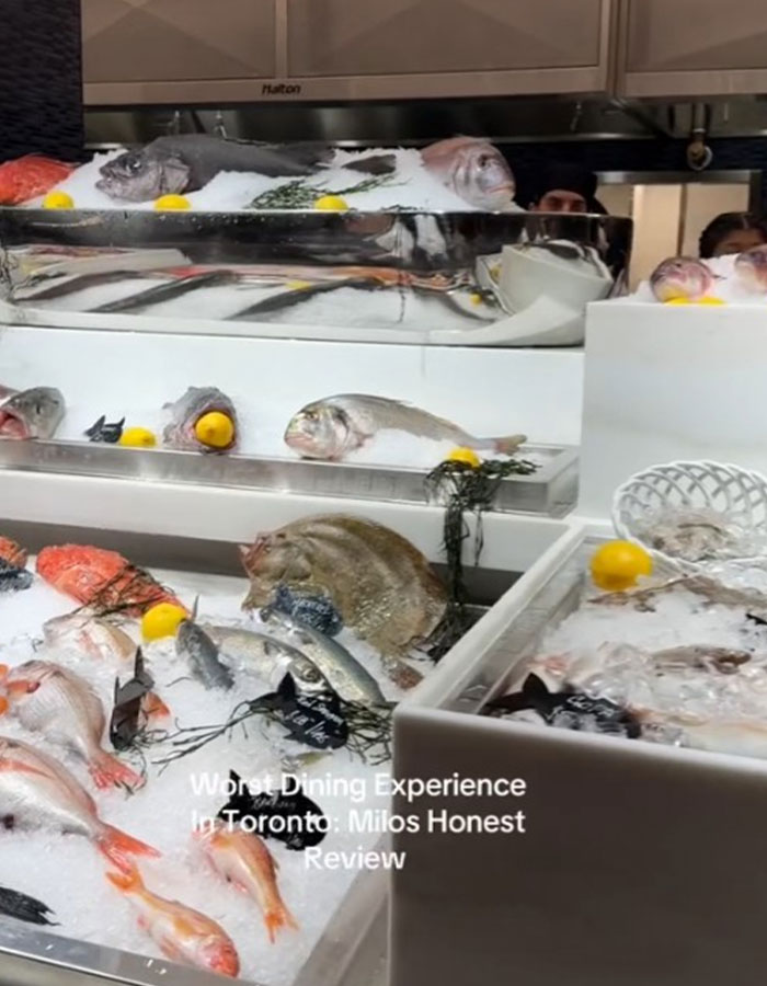 "Spoiled Brat ": Woman Sparks Debate With Harsh Review Of $400 Meal At Michelin-Praised Restaurant "Spoiled Brat ": Woman Sparks Debate With Harsh Review Of $400 Meal At Michelin-Praised Restaurant