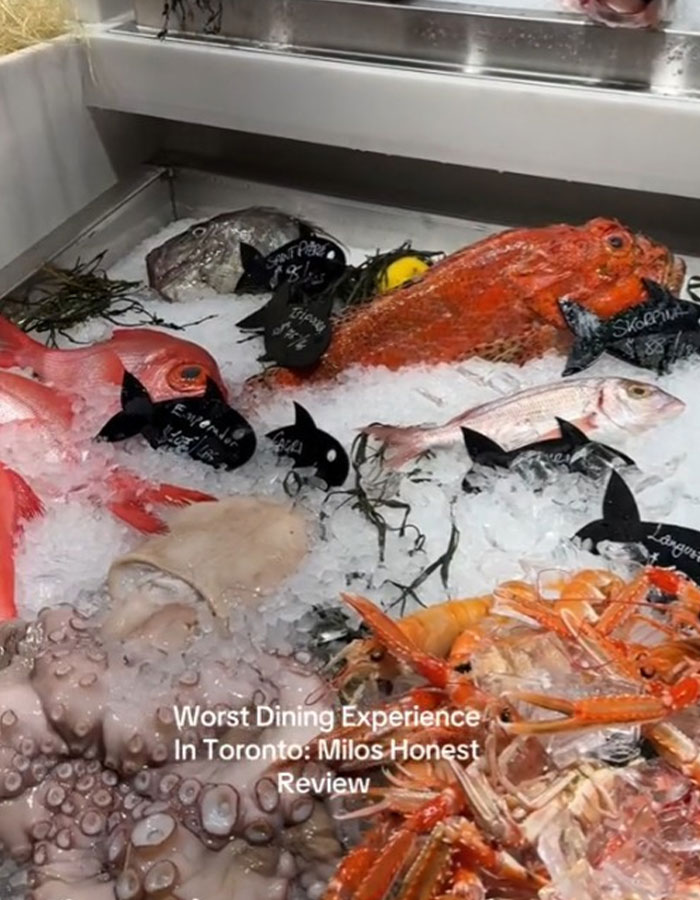 "Spoiled Brat ": Woman Sparks Debate With Harsh Review Of $400 Meal At Michelin-Praised Restaurant "Spoiled Brat ": Woman Sparks Debate With Harsh Review Of $400 Meal At Michelin-Praised Restaurant