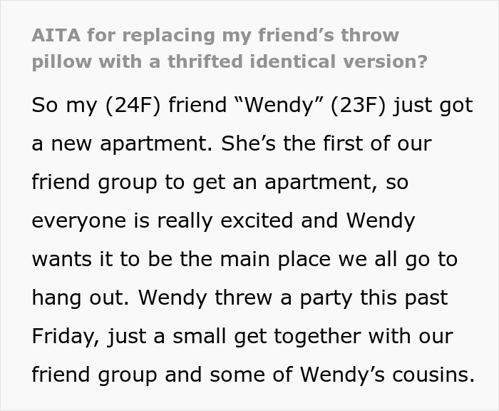 Woman Vows To Replace Her Friend's Ruined $70 Pillow, But Offers A Thrifted Version, Owner Fumes