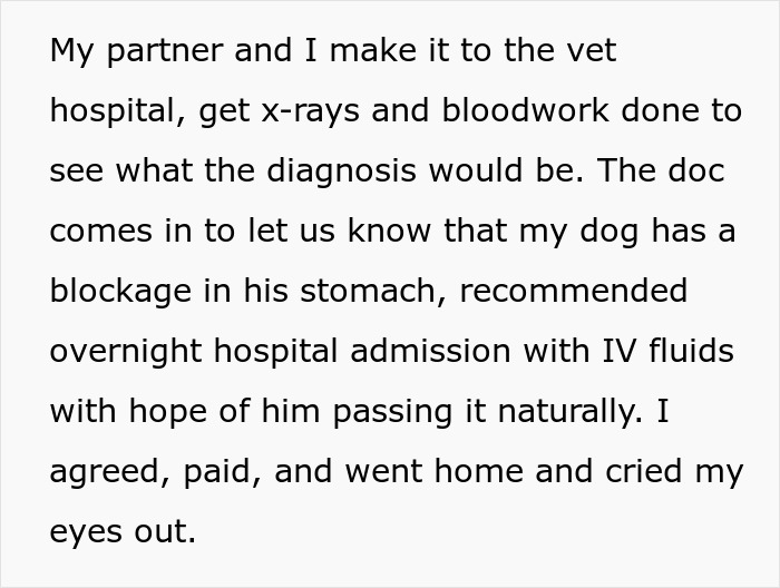 Guy Almost Lets His Kids’ Dog Die Out Of Carelessness, Clueless Why The Kids Suddenly Hate Him Guy Almost Lets His Kids’ Dog Die Out Of Carelessness, Clueless Why The Kids Suddenly Hate Him