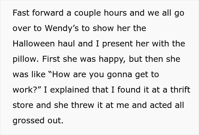 Woman Vows To Replace Her Friend's Ruined $70 Pillow, But Offers A Thrifted Version, Owner Fumes