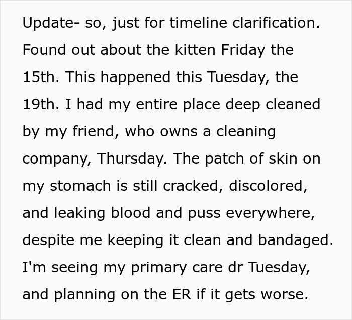 GF Wants A Pet, BF Says Anything But A Cat Is Fine, She Buys A Kitten Anyway, BF Breaks Up With Her