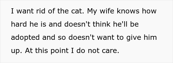 Man Loses Patience Over Wife&rsquo;s &ldquo;Frustratingly Annoying&rdquo; Cat, Gives Her An Ultimatum