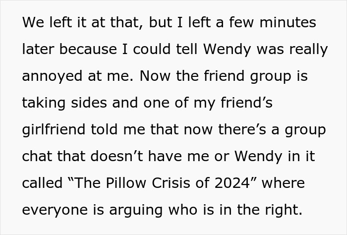Woman Vows To Replace Her Friend's Ruined $70 Pillow, But Offers A Thrifted Version, Owner Fumes