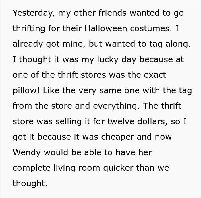 Woman Vows To Replace Her Friend's Ruined $70 Pillow, But Offers A Thrifted Version, Owner Fumes