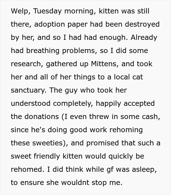 GF Wants A Pet, BF Says Anything But A Cat Is Fine, She Buys A Kitten Anyway, BF Breaks Up With Her