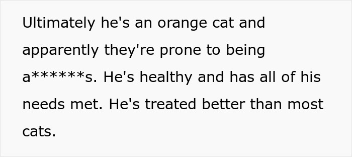 Man Loses Patience Over Wife&rsquo;s &ldquo;Frustratingly Annoying&rdquo; Cat, Gives Her An Ultimatum