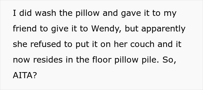 Woman Vows To Replace Her Friend's Ruined $70 Pillow, But Offers A Thrifted Version, Owner Fumes