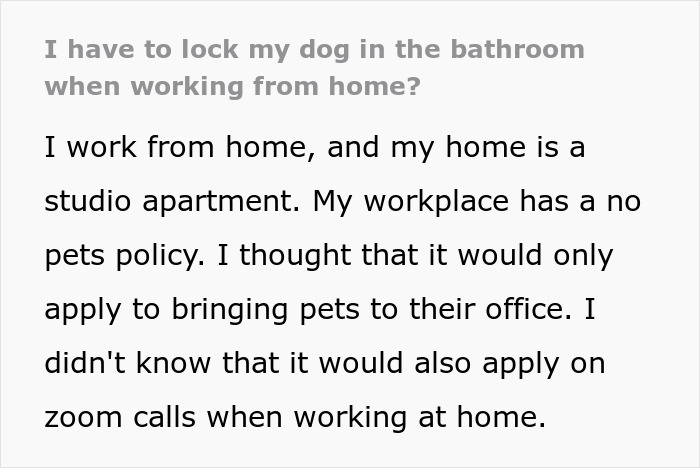 &ldquo;My Dog Was Simply Sitting&rdquo;: Worker Maliciously Complies With No-Dogs Home Office Policy