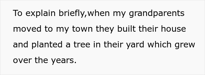 35YO Chops Down Tree Husband&rsquo;s Family Cherished Without Asking, Leads To Massive Relationship Rift