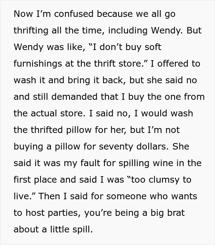 Woman Vows To Replace Her Friend's Ruined $70 Pillow, But Offers A Thrifted Version, Owner Fumes