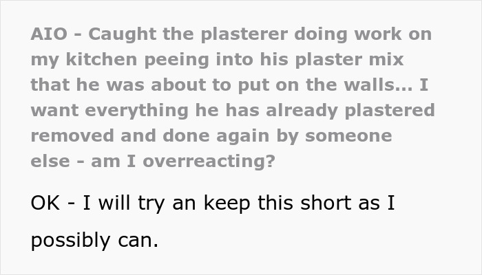 Woman Busts Worker Peeing In The Plaster Mix For Her Kitchen, Demands Company Take Everything Down Woman Busts Worker Peeing In The Plaster Mix For Her Kitchen, Demands Company Take Everything Down