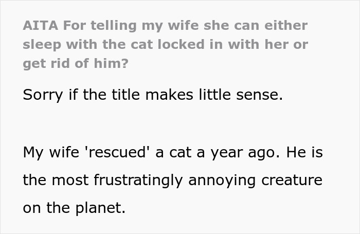 Man Loses Patience Over Wife&rsquo;s &ldquo;Frustratingly Annoying&rdquo; Cat, Gives Her An Ultimatum