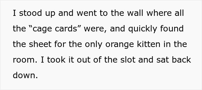 Girl Loses It When Woman Adopts A Cat She Wanted At The Shelter As Punishment For Torturing It