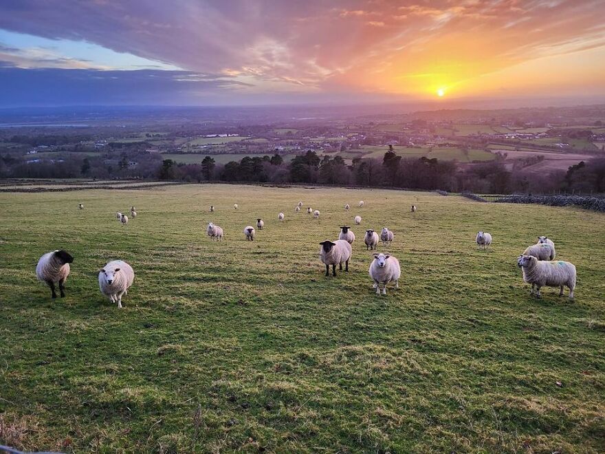 Ravensdale - Ireland. Sunset, Our First Neighbours, Literally Our Window View!