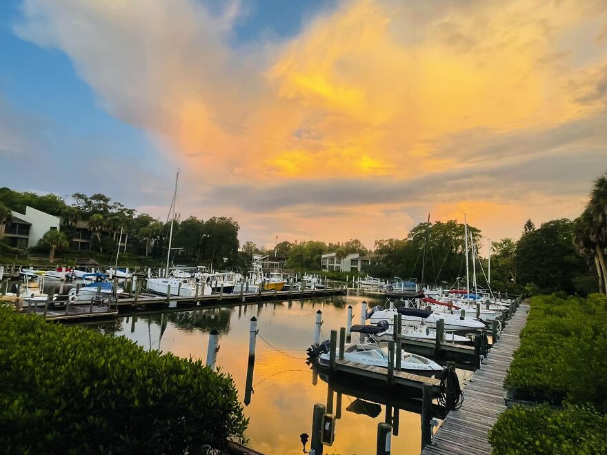 View From My Window In Sarasota Florida, USA