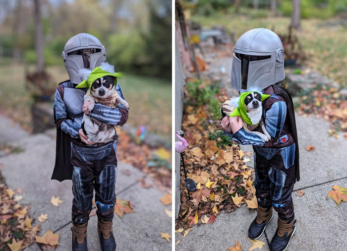 My Kid's And His Doggo's Halloween Costume