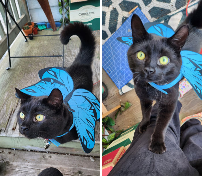 Happy Halloween From Cabrel 