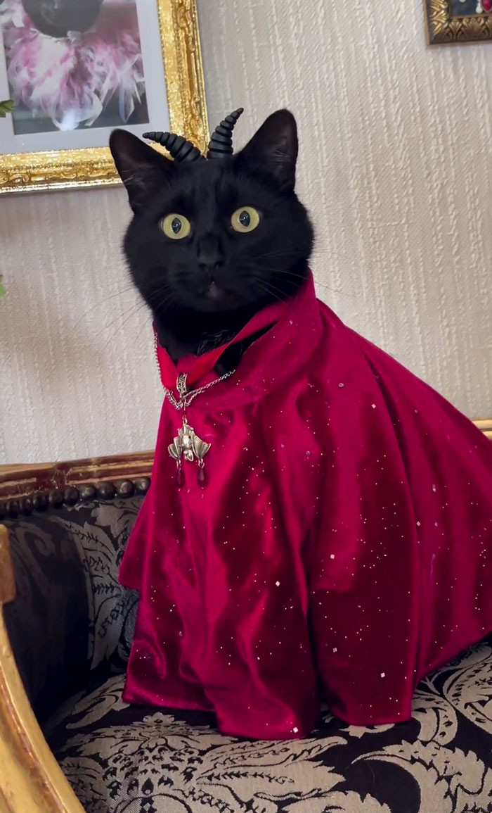 The Darkness Approaches