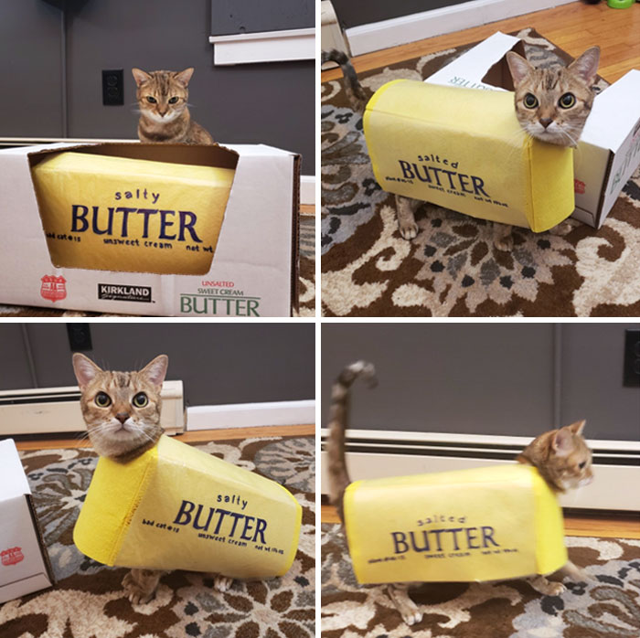 Happy Halloween From My Little Butter Monster, Sophie