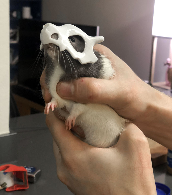 My Boy Pico’s Halloween Costume